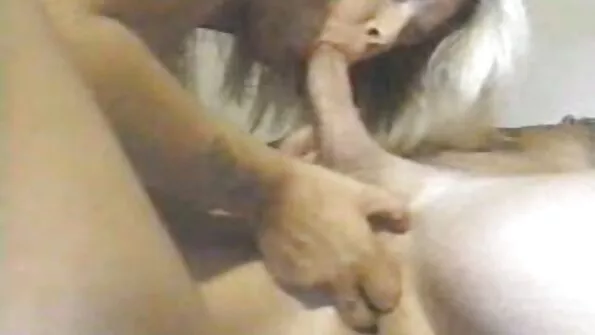 Mustajuukseline koduperenaine lahutas oma tüdruksõbrast seksi pärast.