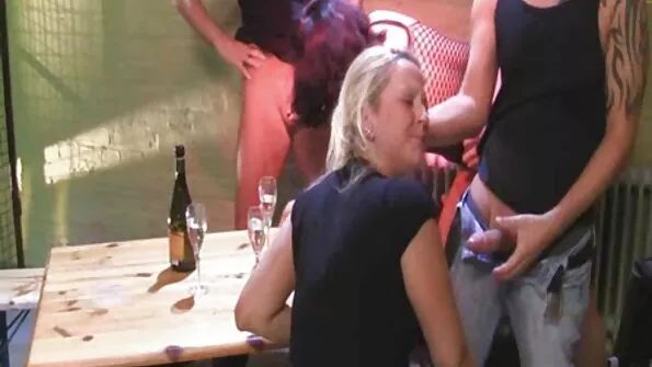 Hästi määritud riist libiseb kiisus.